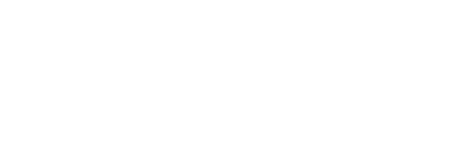 WSAA Logo